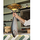   Halten, Fisch, Roher Fisch, Japanische Küche