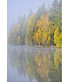   See, Wald, Herbst, Dunst