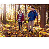   Couple, Forest, Autumn, Hiking, Hiking Stick
