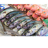   Fish, Fish Market