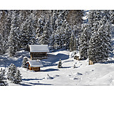   Winter, Snowy, Coniferous, Wooden House