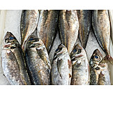   Fisch, Fischmarkt
