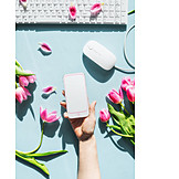   Textfreiraum, Tulpen, Schreibtisch, Smartphone