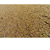   Drought, Water, Cracked, Ground