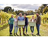   Harvest, Team, Vintage, Wine Production
