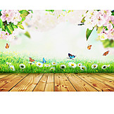   Garden, Butterfly, Spring, Wooden Table