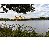   Moritzburg castle, Castle pond