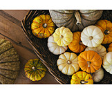   Autumn, Squash, Ornamental Gourd, Various
