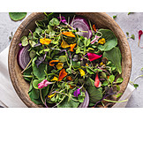   Gemischter Salat, Sprossen, Sommersalat