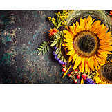   Flowers, Sunflower, Flower Arrangements