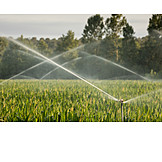   Agriculture, Watering, Sprinklers, Irrigation Equipment