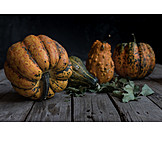   Autumn, Ornamental Gourd