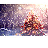   Christmas, Winterly, Christmas Tree, Snowflakes