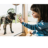   Girl, Dog, Contact, Window Glass