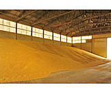   Agriculture, Warehouse, Grain Silo