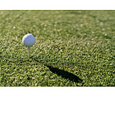   Golf Course, Golf Ball, Golfing