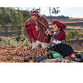   Agriculture, Peru, Indigenous, Farmer