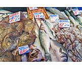   Fisch, Fischmarkt, Speisefisch
