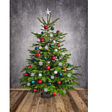   Weihnachten, Weihnachtsbaum, Christbaum