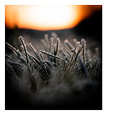   Meadow, Frost, Ice Crystals