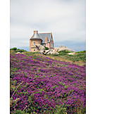   House, Brittany, Cote De Granit Rose
