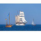   Segelschiff, Hanse sail