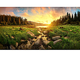   Sunrise, Stream, Meadow, Forest
