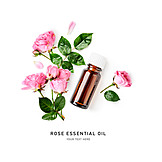   Rose, Essential Oil