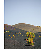   Volcanic Landscape, La Palma, Cumbre Vieja