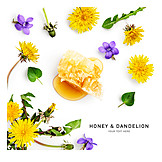   Löwenzahn, Honig, Honey & Dandelion